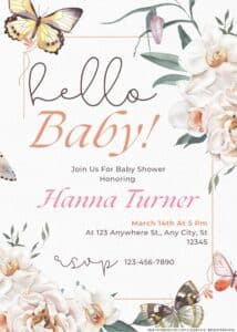 Butterflies and Binkies Baby Shower Invitation