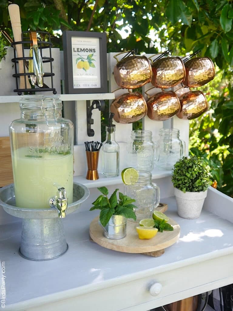 Pink Lemonade in jar with Golden Soup Ladles and flower pot