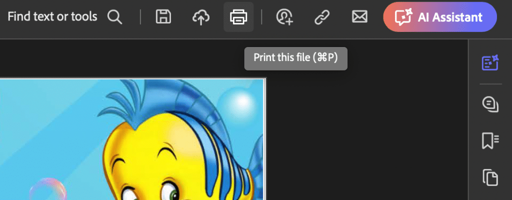 Preview of Print Button